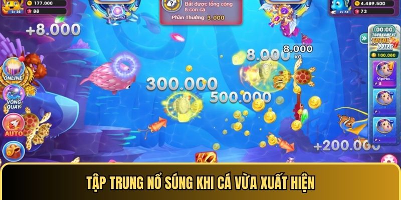 Tập trung nổ súng khi cá vừa xuất hiện